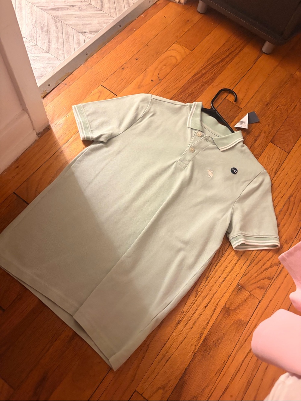 American Eagle Outfitters Mint Green Polo Shirt with Embroidered Logo